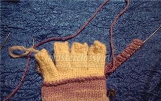 Mittens with a folding top: features of knitting techniques using the example of a detailed MK Mittens with a folding top crochet